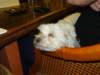 NWK 2012 068_small.jpg